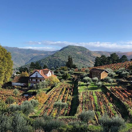 Quinta Vila Rachel - Winery Sao Mamede de Ribatua المظهر الخارجي الصورة