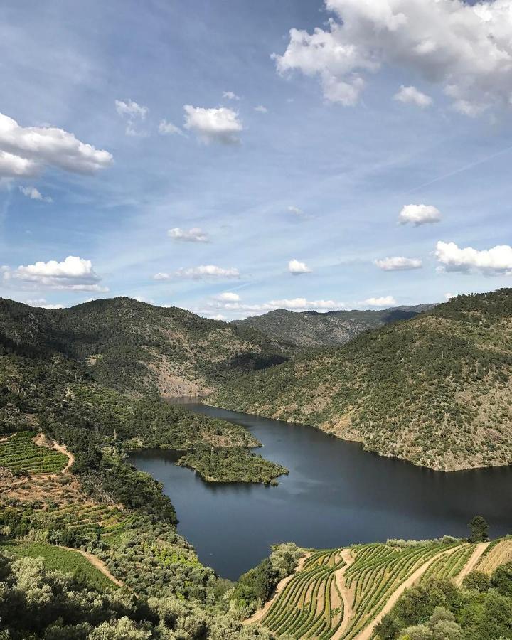 Quinta Vila Rachel - Winery Sao Mamede de Ribatua المظهر الخارجي الصورة