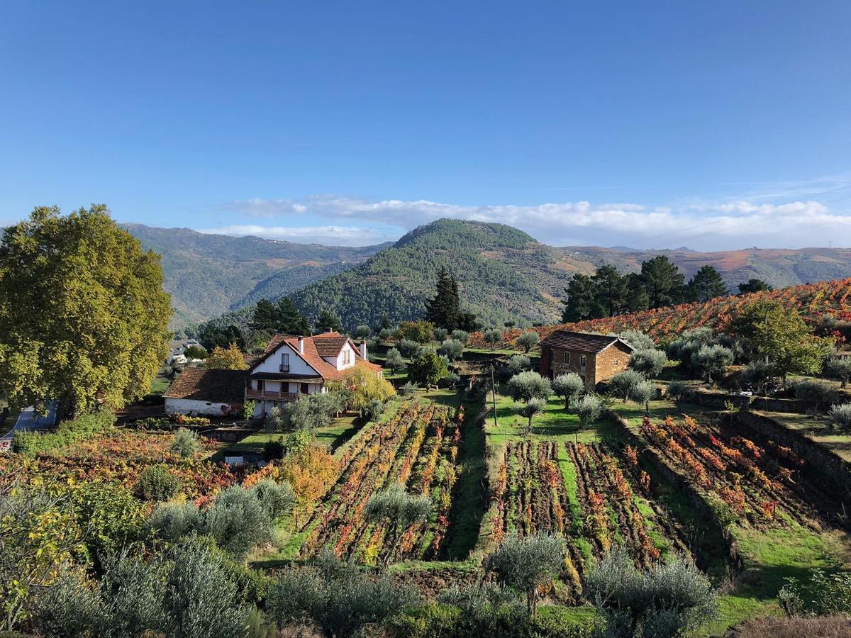 Quinta Vila Rachel - Winery Sao Mamede de Ribatua المظهر الخارجي الصورة