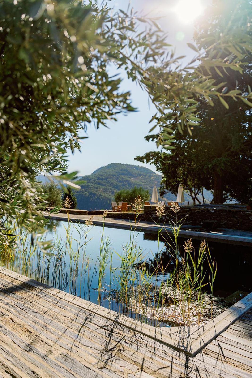 Quinta Vila Rachel - Winery Sao Mamede de Ribatua المظهر الخارجي الصورة